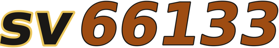 sv66133 logo